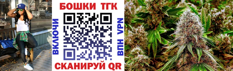 Бошки марихуана сатива  дарнет шоп  Малгобек 
